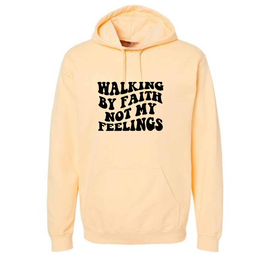 WALKING BY FAITH HOODIE - Just Faith No Fear