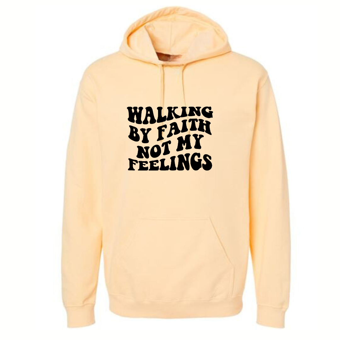 WALKING BY FAITH HOODIE - Just Faith No Fear