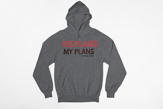 HIS PLANS HOODIE - Just Faith No Fear